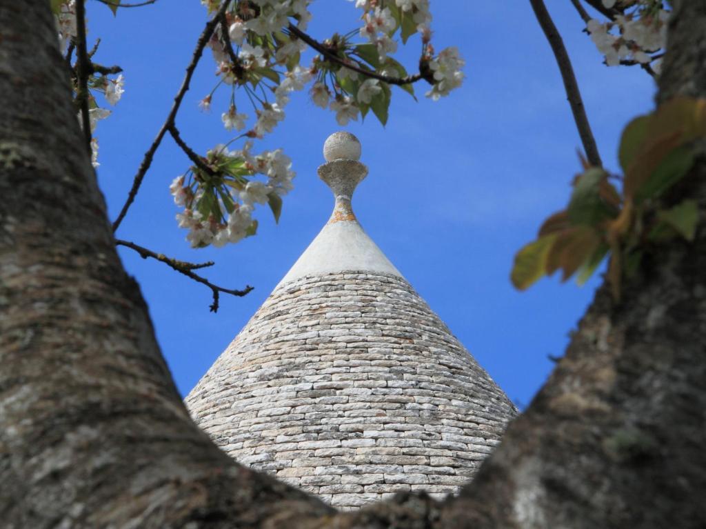 Pietraluce Casa de hóspedes Alberobello Exterior foto